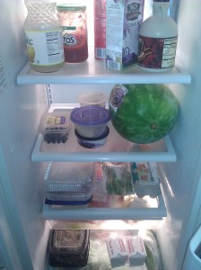 Fridge #1